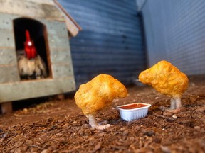 A scene titled "Chicken Nuggets" from artist Banksy's new installation "The Village Pet Store and Charcoal Grill" is seen October 8, 2008 in New York City.