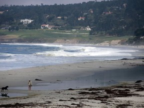 File - In this Sept. 22, 2011 file photo, a walker and her dog make their way past a new lagoon after a large swell pushed water and kelp up onto Carmel Beach in Carmel, Calif. Several beaches along California's Central Coast are closed after nearly five million gallons of sewage spilled into the ocean in Monterey County. The county's Environmental Health Department says the massive spill was stopped Saturday, Jan. 21, 2018, at the Monterey One Water wastewater treatment facility. At least eight beaches are closed in the area about 110 miles south of San Francisco.