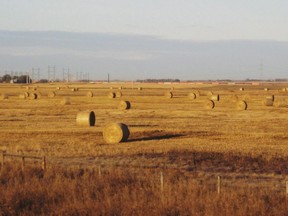 In this Oct. 19, 2010 photo, hay bales sit in prairie wheat fields outside Saskatoon, Saskatchewan. A Saskatchewan First Nation is suing the province and Ottawa to try and regain some control over traditional lands it says have been whittled away by a century of agricultural and industrial development.