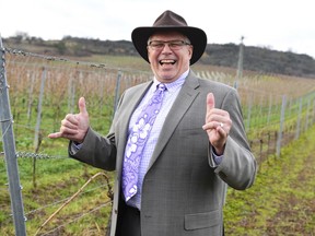 James W. Herman, United States' General Consul in Frankfurt stands in front of a vineyard in Kallstadt, Germany, Thursday, Jan. 11, 2018. Donald Trump's grandfather lived in Kallstadt before emigrating to the US.