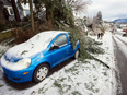 Freezing rain caused tree branches to fall on power lines causing power outages, and trees to topple in Mission, B.C.