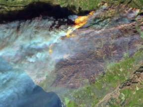 FILE - This Dec. 7, 2017 false-color image from the European Space Agency's Sentinel-2 satellite via NASA, shows a brown burn scar from the Thomas fire north of the city of Ventura, Calif., at bottom center. The flames stand out starkly as smoke billows toward the Pacific Ocean. Untouched areas of vegetation appear in bright shades of green. President Donald Trump has declared a major disaster in California over a wildfire that destroyed more than 1,000 buildings. The White House announced Tuesday, Jan. 2, 2018, that the president has granted disaster status, which will help make federal funds available to supplement recovery efforts in the wake of the Thomas Fire that ravaged Santa Barbara and Ventura counties. (European Space Agency/NASA via AP, File)