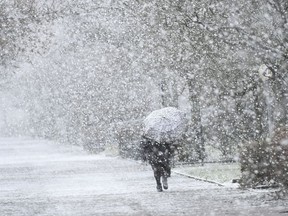 A woman protects herself with an umbrella during heavy snowfall in Langenhagen near Hannover, Germany, Wednesday, Jan. 17, 2018.