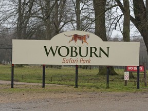 The sign for the  Woburn Safari Park in Woburn England Tuesday Jan. 2, 2018 . Officials say 13 monkeys have died in a fire at the safari park. The fire started early Tuesday morning in the monkey house at Woburn Safari Park.  A spokesman said staff and fire crews rushed to the scene but the 13 monkeys could not be saved.