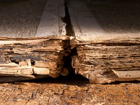 This illustration image shows the tattered pages of an antique gothic book.