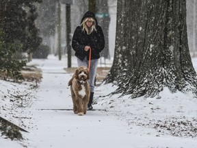 Stacy Shoaf walks her dog Rambo as snow falls in Oxford, Miss., on Tuesday, Jan. 16, 2018. The National Weather Service on Tuesday issued winter storm warnings in parts of Louisiana and Mississippi.