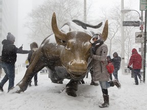 A woman poses for photos with the "Charging Bull" statue in Manhattan's Financial District during heavy snowfall, Thursday, Jan. 4, 2018, in New York.
