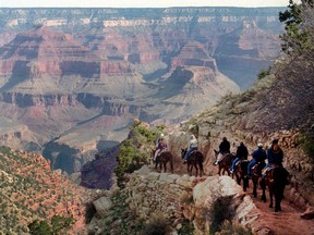 FILE - In this March 27, 1996, file photo, a mule train winds its way down the Bright Angel trail at Grand Canyon National Park, Ariz. Arizona officials on Friday, Jan. 19, 2018, guaranteed that the Grand Canyon National Park will remain in full operation if Congress fails to pass a budget and a government shutdown ensues. Arizona Republican Gov. Doug Ducey said the state's top tourist attraction "will not close on our watch, period."