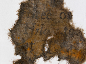 A piece of a page from a book found onboard the wreck of Blackbeard's flagship, the Queen Anne's Revenge.