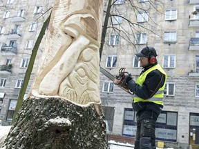 Andrzej Zawadzki works with his chainsaw on a wooden sculpture in Warsaw, Poland, Tuesday, Jan. 23, 2018. Local residents decided to make use of the remains of sick trees and offered Zawadzki the chance to create fairy tale sculptures.