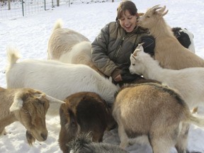 In this c, Tracy Longoria plays with goats at her Aussakita Acres farm in Manchester, Conn. The farm is partnering with the Hartford Yard Goats, the Double-A affiliate of the Colorado Rockies baseball team to offer goat yoga at Dunkin Donuts Park, the team's $71 million stadium in Hartford.