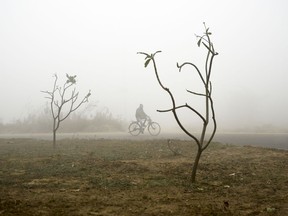 A cyclist pedals through a thick fog on a cold morning in Greater Noida, outskirts of New Delhi, India, Monday, Jan.1, 2018. As winter approaches, a thick, soupy smog routinely envelops most parts of northern India, caused by dust, the burning of crops, emissions from factories and the burning of coal and piles of garbage as the poor try to keep warm. Over the past two years, New Delhi has earned the dubious distinction of being one of the world's most polluted cities.