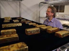 Chief scientist Bob Evans looks at gold bars recovered from the S.S. Central America steamship that went down in a hurricane in 1857 in a laboratory Tuesday, Jan. 23, 2018, in Santa Ana, Calif.