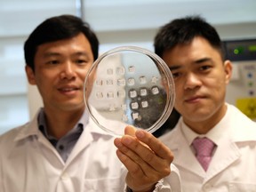 Scientists at Nanyang Technological University, Singapore display their work.