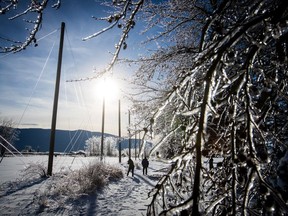Ice coats tree branches as Christie Dornian, left, takes photographs while walking with her husband Mark Dornian in Chilliwack, B.C., on Monday January 1, 2018.