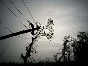 FILE - In this Oct. 16, 2017 file photo, power lines lay broken after the passage of Hurricane Maria in Dorado, Puerto Rico. Federal officials said on Monday, Jan. 8 2018, that efforts to fully restore power to Puerto Rico in the wake of Hurricane Maria should get a boost with more work crews and more equipment in upcoming weeks.
