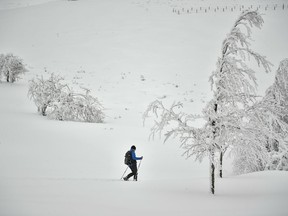 A pilgrim on Saint James way walks along the field covered by snow between Ibaneta and Roncesvalles, around 55 km (34 miles) from Pamplona, northern Spain, Tuesday, Feb. 6, 2018. Authorities predict fresh snowfall in the coming days and extreme low temperatures for this week across Northern Spain.