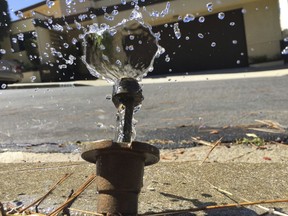 FILE - In this April 8, 2015, file photo, water runs off from a sprinkler in Mount Olympus, a neighborhood in the Hollywood Hills area of Los Angeles. Members of the state Water Resources Control Board are scheduled to decide Tuesday, Feb. 20, 2018, whether to bring back what had been temporary water bans from California's 2013-2017 drought, and make them permanent. U.S. drought monitors last week declared that a fifth of the state, all of it in Southern California, is now back in severe drought, just months after the state emerged from that category of drought.