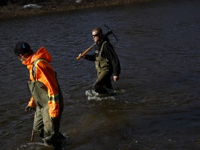 Volunteer Chris Suttie wades through water alongside Dan Granger, left, as they lead a search party along the banks of the Grand River, as they search for signs of 3-year-old Kaden Young.