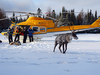 A caribou is released after being flown to the Slate Islands in Lake Superior.