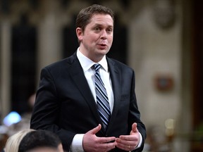 Conservative Leader Andrew Scheer rises during Question Period in the House of Commons on Parliament Hill in Ottawa on Wednesday, Feb. 7, 2018.