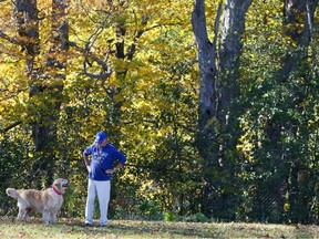 The presence of a dog can also serve as an indication a man is nurturing and capable of caregiving, said Helen Fisher, a senior research fellow at the Kinsey Institute and a chief adviser to Match.com. And that, she said, is a powerful mating signal.