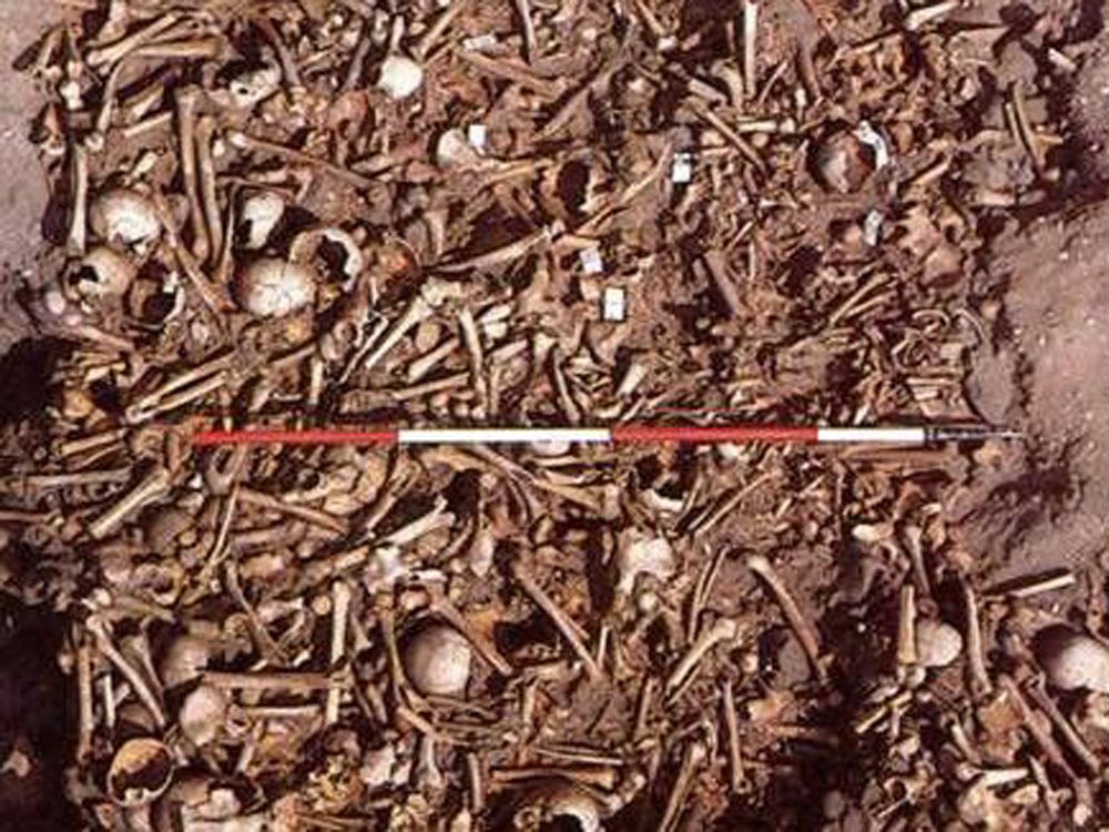 Mass grave in England holds the remains of Viking invasion force