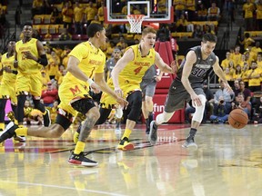 Maryland guards Kevin Huerter (4) and Anthony Cowan (1) chase a loose ball against Northwestern guard Bryant McIntosh (30) during the first half of an NCAA basketball game, Saturday, Feb. 10, 2018, in College Park, Md.