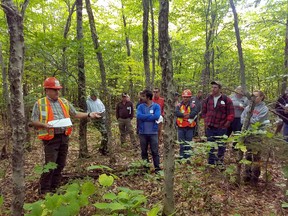 In a Sept. 15, 2016 photo provided by the University of Maine, Gaetan Pelletier of the Northern Hardwoods Research Institute describes diseased beech problem to members of the University of Maine Cooperative Forestry Research Unit in a stand of diseased beech in Aroostook, County. The tell-tale signs of beech bark disease are seen in the pock marked bark in this photo. Scientists say beech trees are beginning to dominate Northeastern forests in the era of climate change, and they are susceptible to diseases.