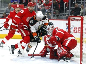 Detroit Red Wings goaltender Jimmy Howard (35) stops a Anaheim Ducks' Corey Perry (10) shot as Trevor Daley (83) defends in the first period of an NHL hockey game Tuesday, Feb. 13, 2018, in Detroit.