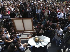 Activists and artists pass around a vaquita porpoise skull in a conch as they held a mournful, dirge-like procession for the critically endangered porpoise in Mexico City, Saturday, Feb. 17, 2018. The latest reports from experts suggests that perhaps as few as 18 vaquitas remain in the Gulf, also known as the Sea of Cortes.