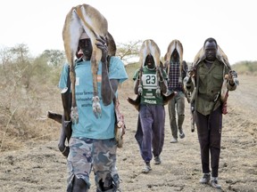 In this photo taken Wednesday, Jan. 24, 2018, men return from the bush after hunting gazelle to sell at the market in Akobo town, one of the last rebel-held strongholds in South Sudan. South Sudan's opposition is threatening to resort to "guerrilla warfare" if peace talks in Ethiopia fail in the coming days as government forces advance on remaining rebel strongholds in the fifth year of civil war.