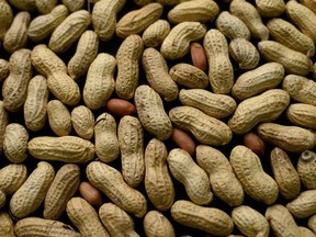 FILE - This Feb. 20, 2015 file photo, photo shows an arrangement of peanuts in New York. The first treatment to help prevent serious allergic reactions to peanuts may be on the way. A company said Tuesday, Feb. 20, 2018 that its daily capsules of peanut flour helped sensitize children to nuts in a major study.