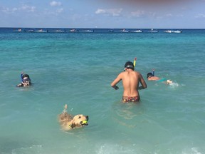 This Dec. 25, 2017 photo taken in Cozumel, Mexico shows people and a dog swimming in the Caribbean. Mexico is a popular vacation destination for winter and spring. But big decisions await travelers, especially those uninterested in the all-inclusive resorts that Cancun is known for.