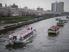 FILE - In this April 8, 2017, file photo, a tourist boat passes by other boats staying near the cherry blossoms in full bloom along the Sumida River in Tokyo. While beach destinations remain popular for spring break, travel agents say customers are also demanding unique cultural experiences and active outdoorsy adventures.