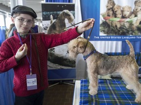 In this Saturday, Feb. 10, 2018, photo, Fenric Towell poses for a photo with his lakeland terrier Missy during the meet the breeds companion event to the Westminster Kennel Club Dog Show in New York.