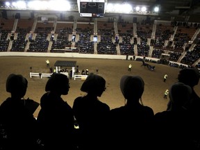 Teenage girls gather to watch a harness horse auction at the Pennsylvania Farm Show Complex Wednesday Jan.17, 2018 in Harrisburg, Pa. Amish from all over the country come to Harrisburg to buy and sell their massive draft horses and magnificent harness horses. The first major horse sale of the year also draws non-Amish horse fans, lured by the "Cadillac" quality of the animals, and vendors of everything from saddles to buggies to custom-made harnesses.