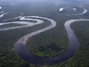 This April 18, 2015 aerial photo shows the Nanay River winding through Peru's Amazon jungle near Iquitos.