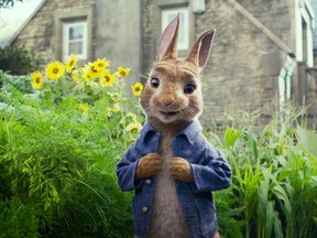 Peter Rabbit (James Corden) in Columbia Pictures' PETER RABBIT.     Movie Stills February