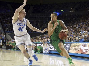 Oregon forward Paul White (13) drives as UCLA center Thomas Welsh (40) defends in the first half of an NCAA college basketball game in Los Angeles, Saturday, Feb. 17, 2018.