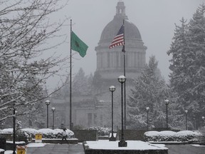 Snow falls and sticks to tree branches, Tuesday, Feb. 20, 2018, at the Capitol in Olympia, Wash. The National Weather Service issued a winter storm warning from the Portland, Ore., metro area north into Southwest Washington, with potential snow accumulations of 3 to 8 inches.