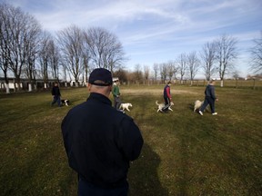 A prison guard observes a group of prisoners walking dogs in Serbia's biggest prison in Sremska Mitrovica, northwest of Belgrade, Serbia, Wednesday, Jan. 31, 2018. A Serbian prison has set up a shelter for stray dogs within its compound and tasked a group of inmates with taking care of the animals. Prison authorities say the idea of the project is to help the inmates' resocialization through their work with the dogs, while also helping solve a big problem in the town.