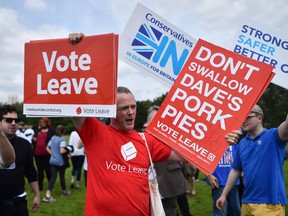 A campaigner for 'Vote Leave', the official 'Leave' campaign organization, holds a placard during a rally, in Hyde Park in London on June 19, 2016.