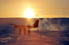 A Twin Otter lands at Intrepid Bay where Canadian soldiers established a camp.