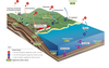 The carbon cycle