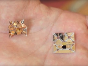 Erik Demaine, a 37-year-old MIT computer science professor, thinks the technology behind his self-folding printable robots could one day evolve into downloadable smartphones, biomedical devices that deliver cancer-killing drugs, and even gadgets that could take on any form. An origami robot is seen to scale in a hand in an undated still image made from video footage.