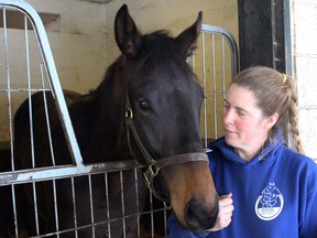 Darren's Fortune, a two-year-old gelding named after the late Darren Fortune, an exercise rider who was killed Sept. 8 in a training accident at Woodbine Racetrack. Darren's Fortune is currently at Woodbine training to eventually become a racing thoroughbred. Darren's Fortune is seen with groom Misty Hudson in an undated handout photo.