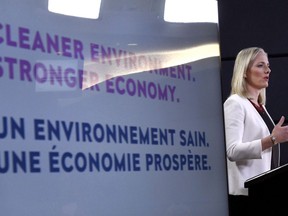 Minister of Environment and Climate Change Catherine McKenna speaks during a press conference on the government's environmental and regulatory reviews related to major projects, in the National Press Theatre in Ottawa on February 8, 2018.