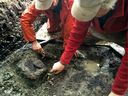 Duncan McLaren en Daryl Fetje hebben een van de voetafdrukken opgegraven op Calvert Island.