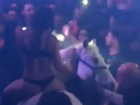 A nightclub in Miami has had its licence revoked after a woman wearing a bikini rode a white horse on to the dance floor.